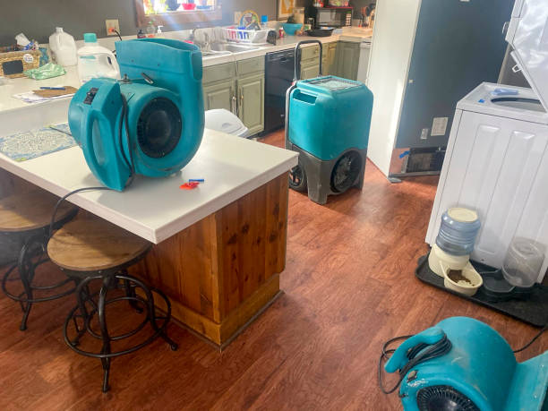 Reliable Boring, OR Water damage restoration Solutions
