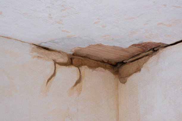 Best 24-hour water damage restoration  in Bing, OR