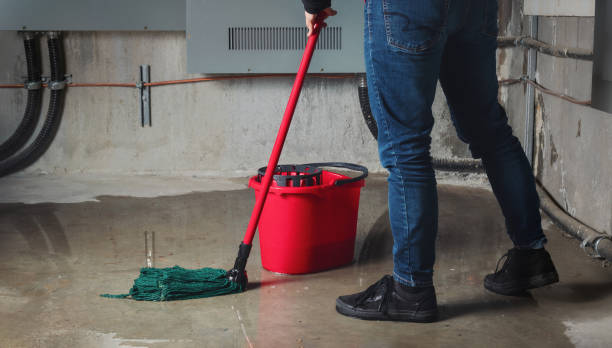 Best Fire Damage Restoration  in Bing, OR