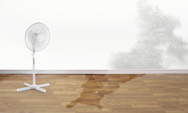 Best Ceiling water damage repair  in Bing, OR