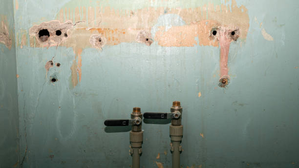 Best Basement water damage restoration  in Bing, OR