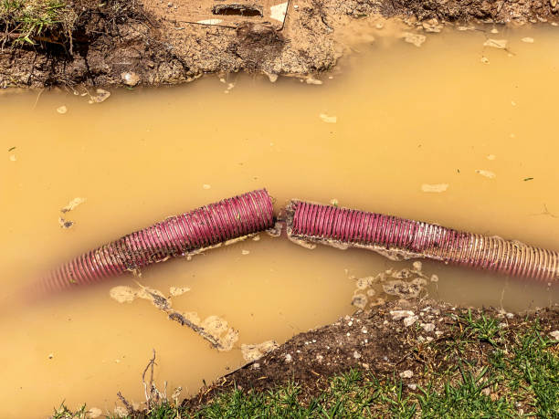 Best Water damage restoration specialists  in Bing, OR