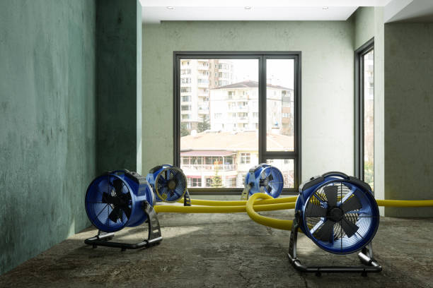  Bing, OR Water damage restoration Pros